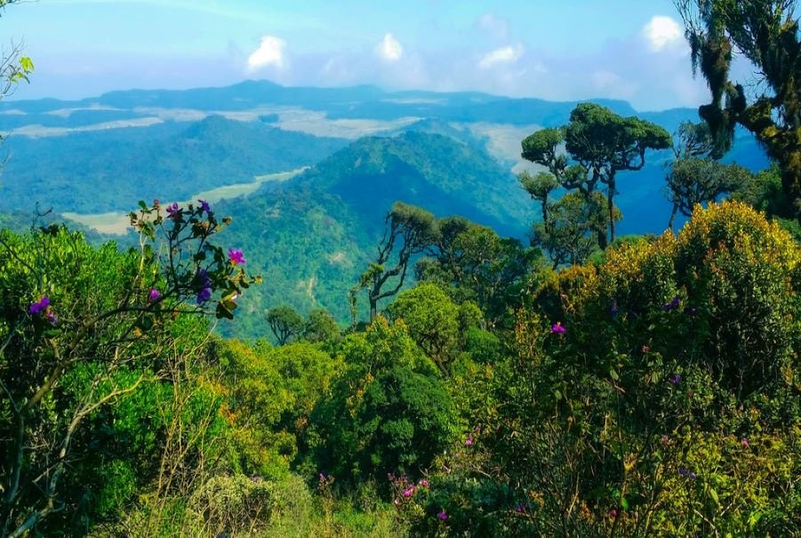 Horton Plains National Park